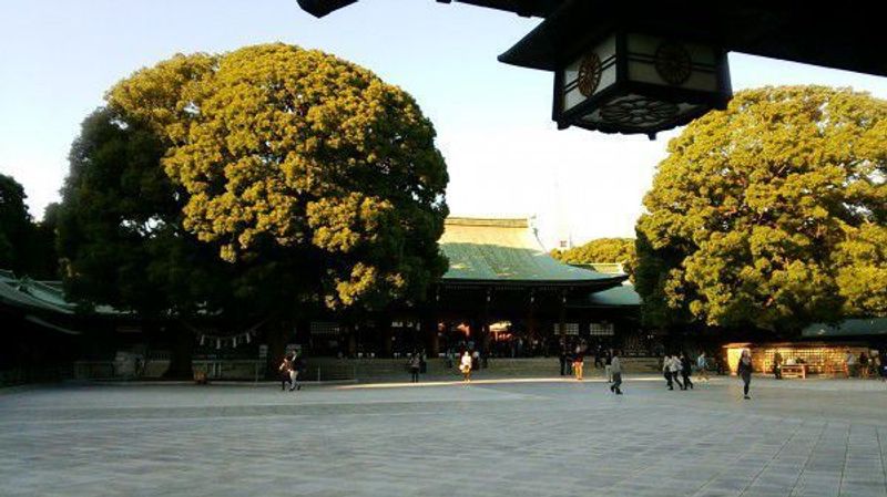 Tokyo Private Tour - Meiji Shrine is a serene oasis in the downtown area of Tokyo. 