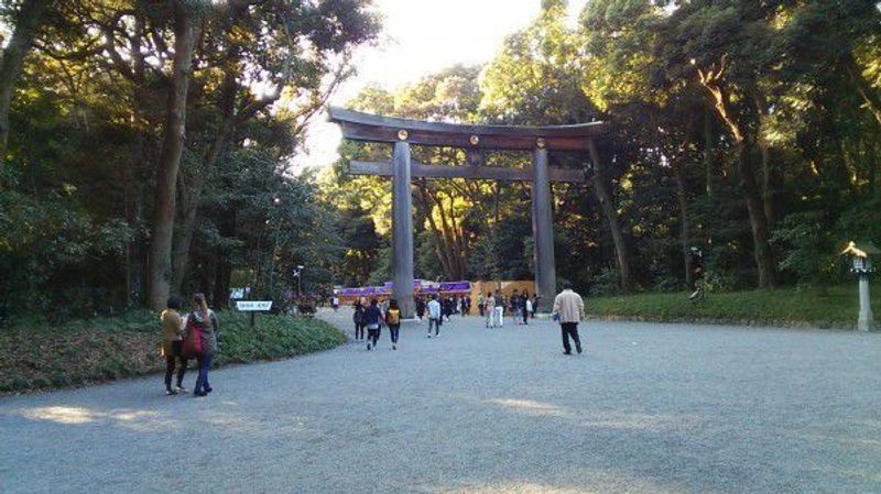 Tokyo Private Tour - Huge Torii gate of Meiji Shrine