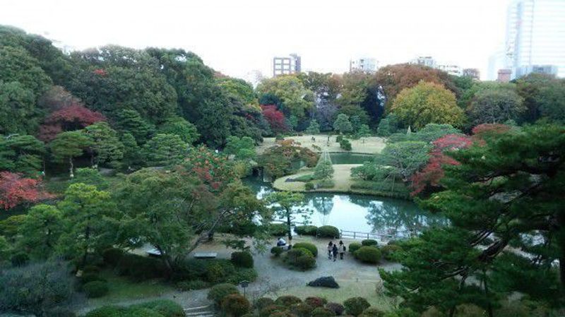 Tokyo Private Tour - Beautiful view of Rikugien Garden. Late November to early December is the best season for viewing colored leaves.