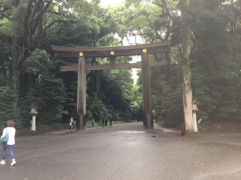 Tokyo Private Tour - Magnificent camphor forest and wooden Torii which is the tallest in Japan.