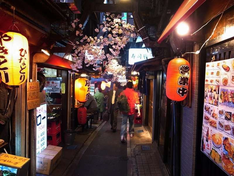 Tokyo Private Tour - "Omoide Yokocho" which is the traditional meals street lined up with small type of Japanese bar where you can taste Yakitori, eel, oden and so-on.