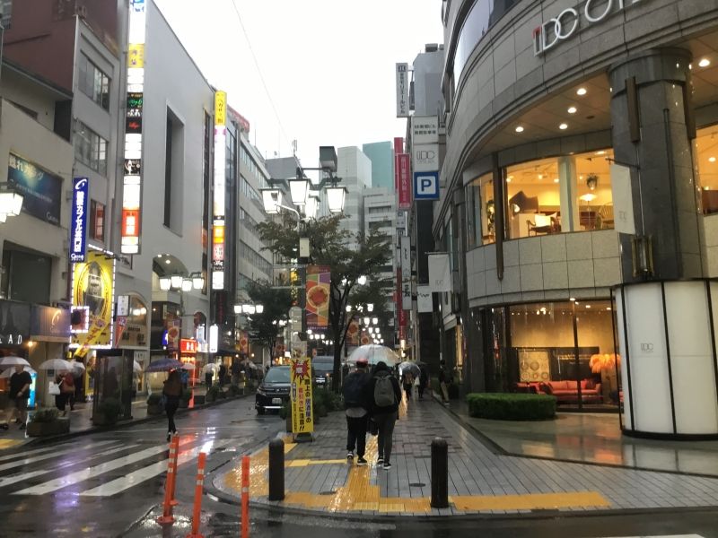 Tokyo Private Tour - Bustling street in Shijuku where you can find lots of shops and restaurant