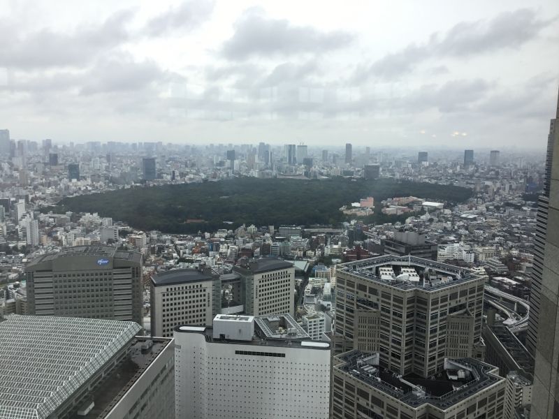 Tokyo Private Tour - Overview of Tokyo including Mt.Fuji in the distance if whether is fine from the observatory of Tokyo Metropolitan Government Building