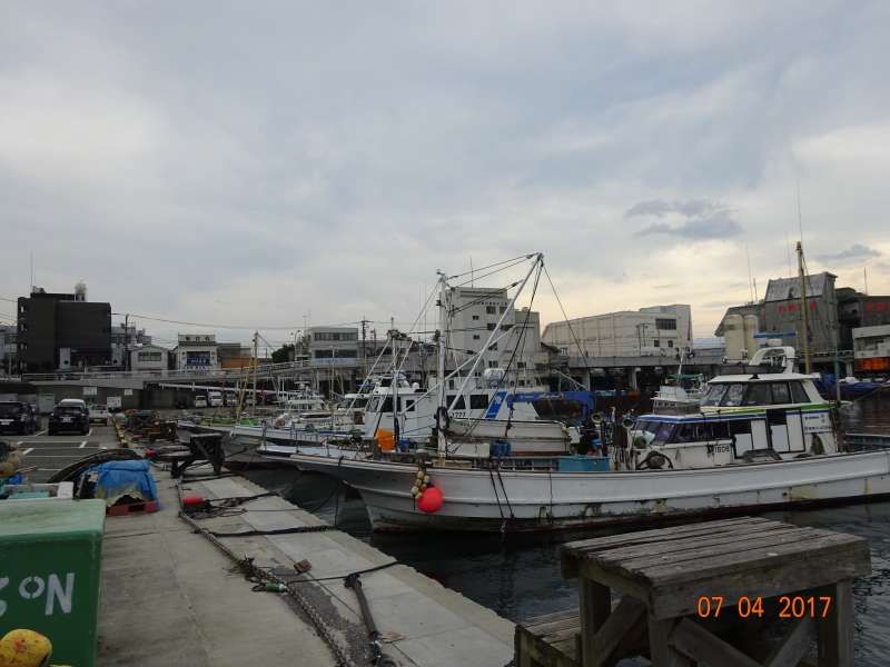 Kanagawa Private Tour - Hayakawa Fish Market