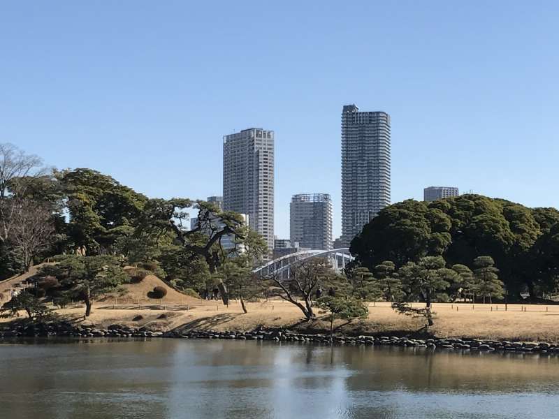 Tokyo Private Tour - Hamarikyu Garden