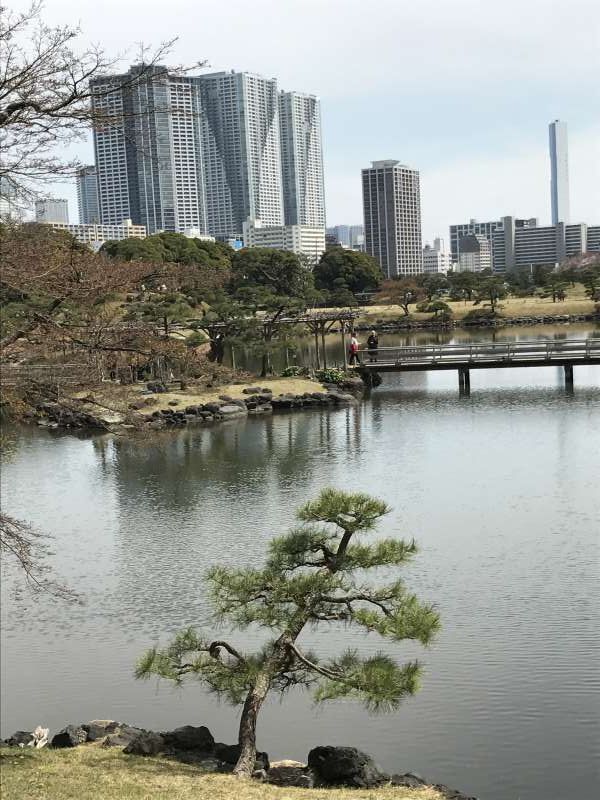 Tokyo Private Tour - Hamarikyu Garden