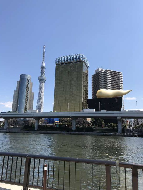 Tokyo Private Tour - Skytree & Sumida Park