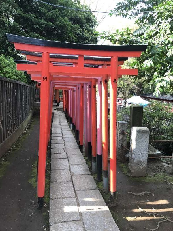 Tokyo Private Tour - Nezu Shrine