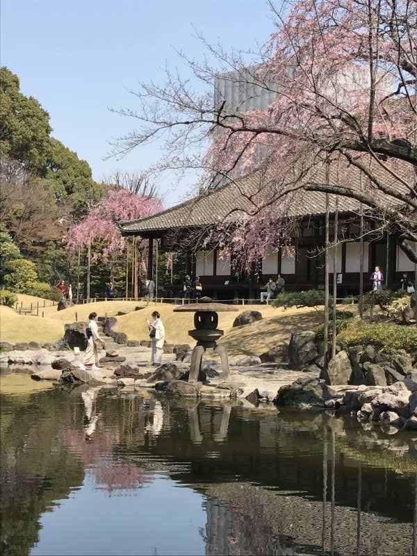 Tokyo Private Tour - Depoin Garden at Asakusa