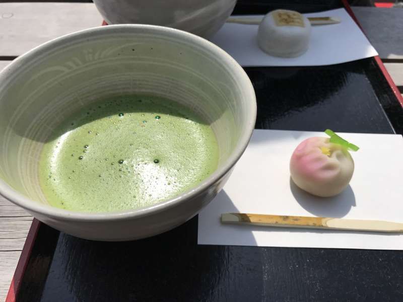 Tokyo Private Tour - Tea Ceremony at Hamarikyu Garden