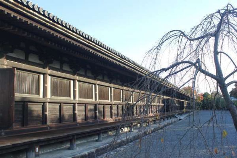 Kyoto Private Tour - Sanjyu sangendo temple (West side)