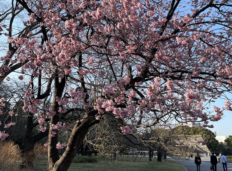 Tokyo Private Tour - Imperial Palace