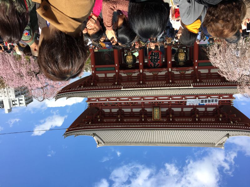 Tokyo Private Tour - Sensoji Temple