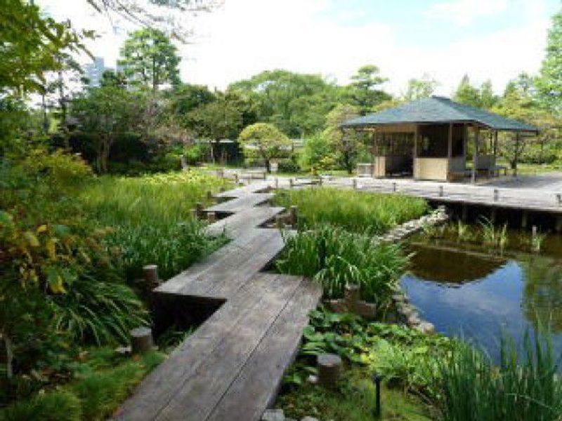 Other Shizuoka Locations Private Tour - Momijiyama Garden In the Sumpu Castle Park