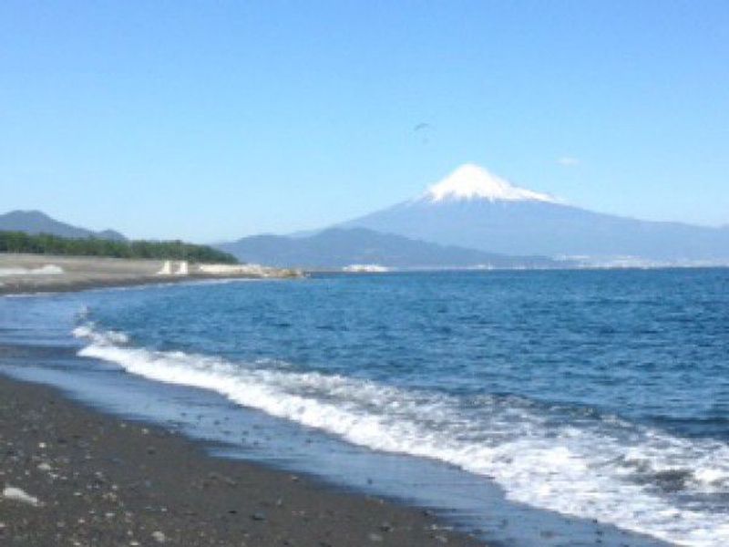 Other Shizuoka Locations Private Tour - View from Miho-no-Matsubara