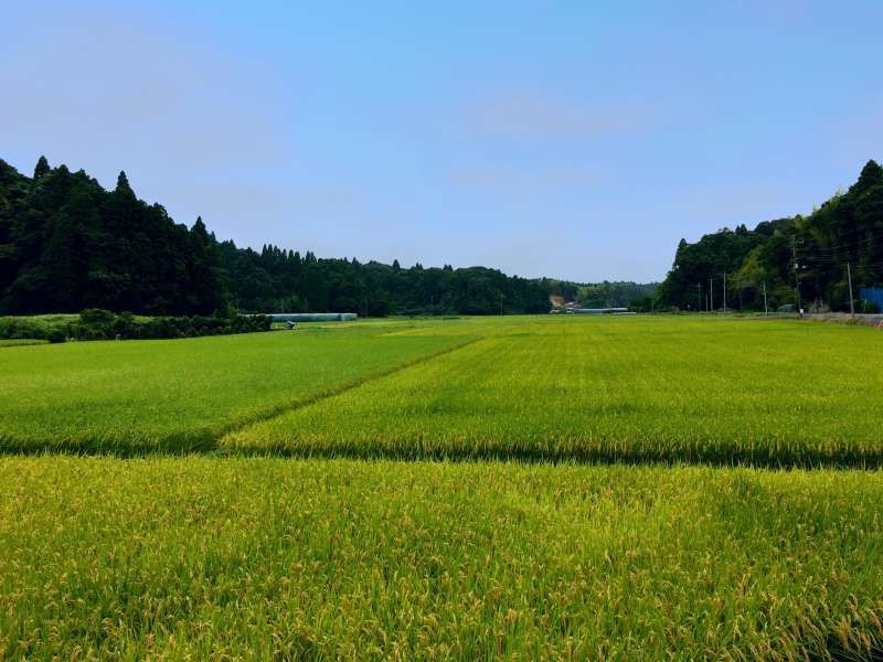 Chiba Private Tour - Amazing view!!