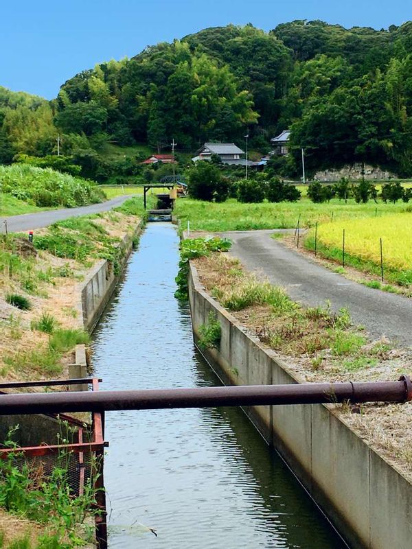 Chiba Private Tour - Small canal for rice fileds