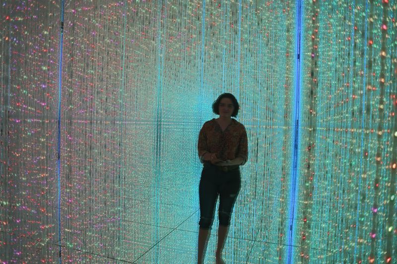 Tokyo Private Tour - This is what you can expect at teamLab Planet in Toyosu.