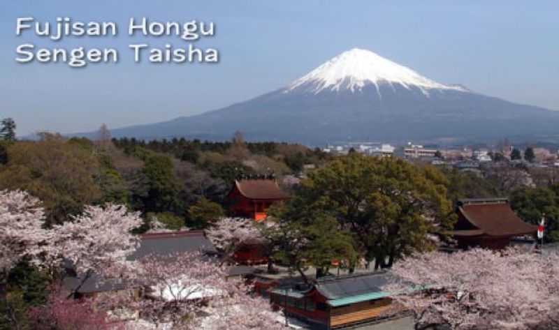 Other Shizuoka Locations Private Tour - the Fujinomiya Sengen Taisha  Shrine