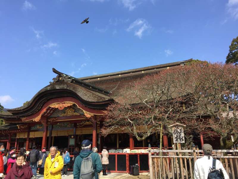 Fukuoka Private Tour - Dazaifu Tenmangu Shrine 
