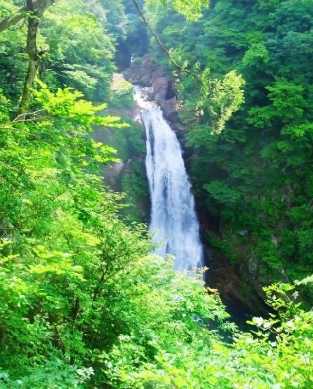 Miyagi Private Tour - Akiu Otaki Waterfall in fresh green season.