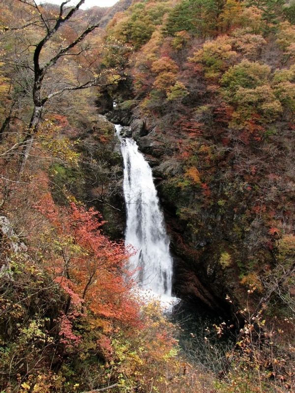 Miyagi Private Tour - Akiu Otaki Waterfall in autumn leaves.