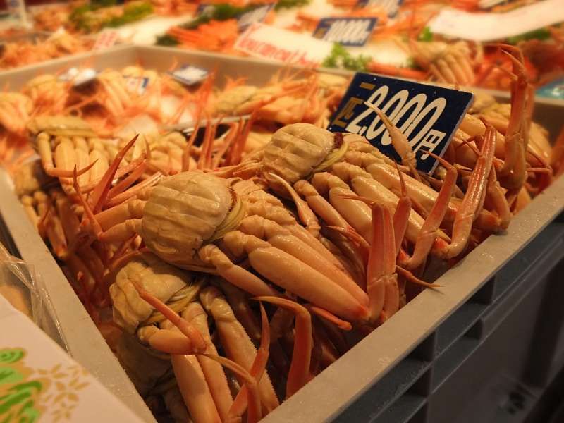 Kanazawa Private Tour - Oumichou-ichiba, very famous fresh market in Kanazawa