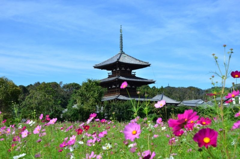 Nara Private Tour - 