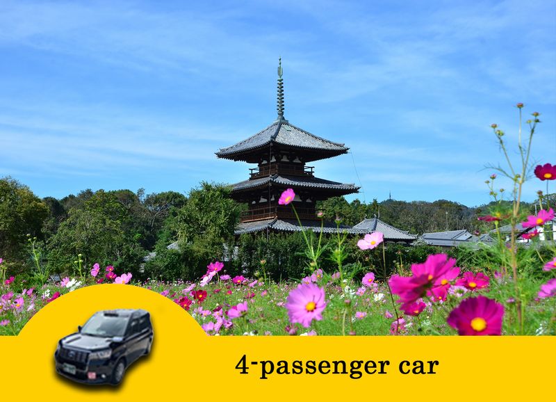 Nara Private Tour - 