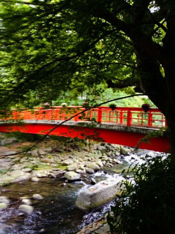 Other Shizuoka Locations Private Tour - beautiful Town of Shuzenji 