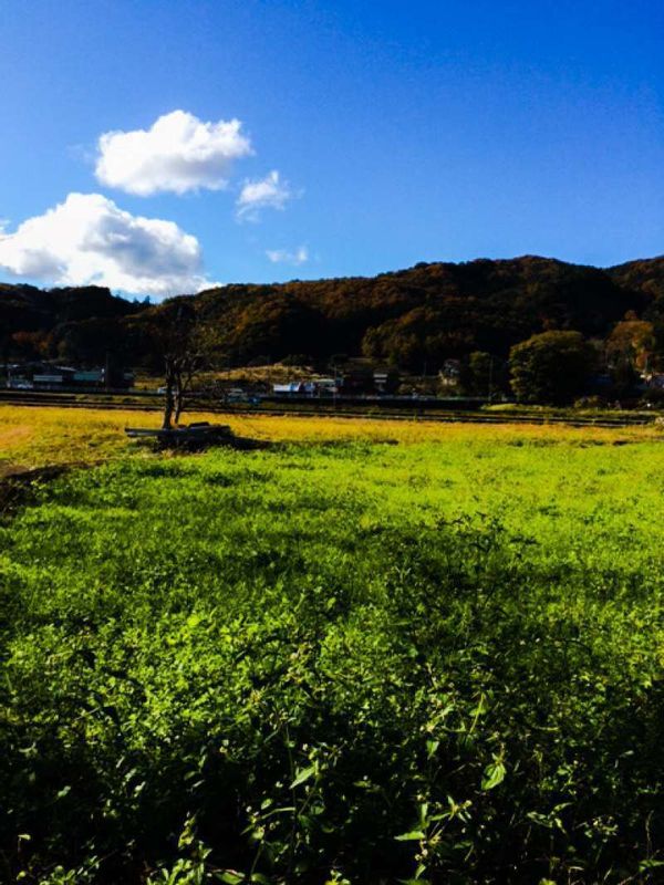 Other Shizuoka Locations Private Tour - peaceful landscape of Shuzenji