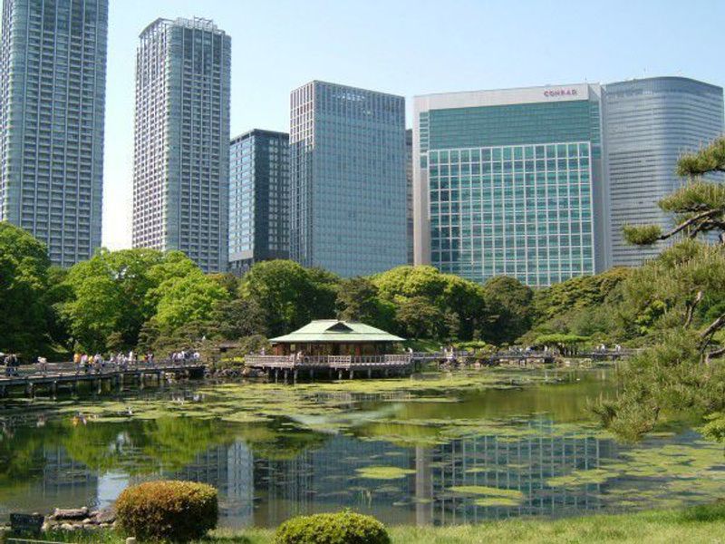 Tokyo Private Tour - Hamarikyu Garden - an interesting contrast with Japanese Garden and some skyscrapers 