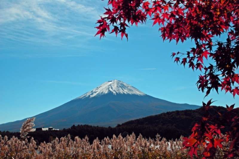 Mount Fuji Private Tour - Mt. Fuji