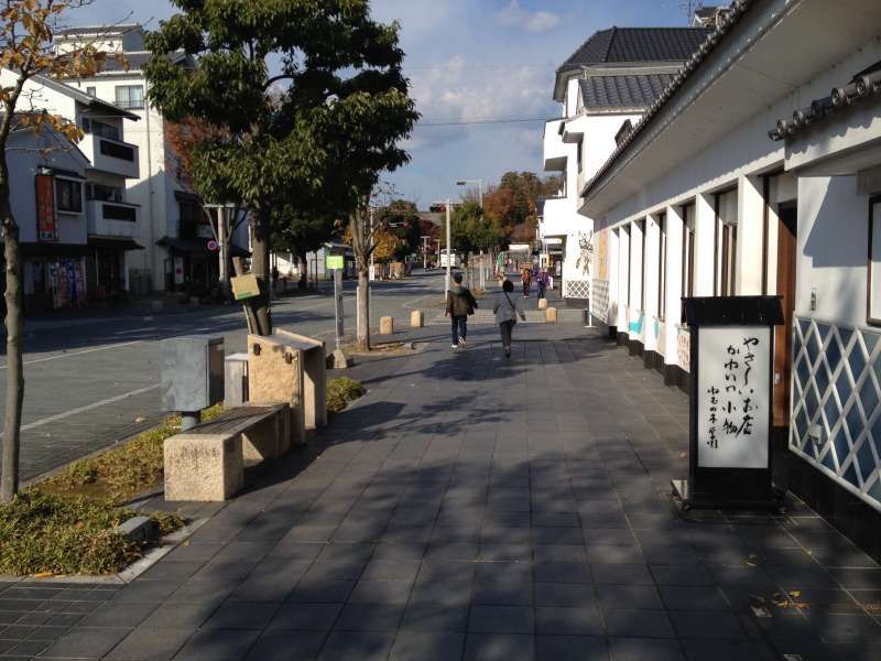 Other Shizuoka Locations Private Tour - Street of Kakegawa town