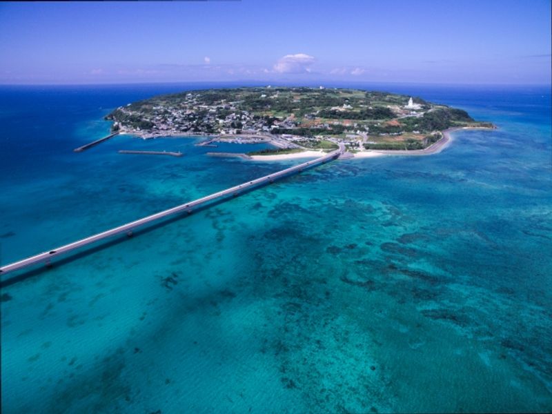 Okinawa Main Island Private Tour - null