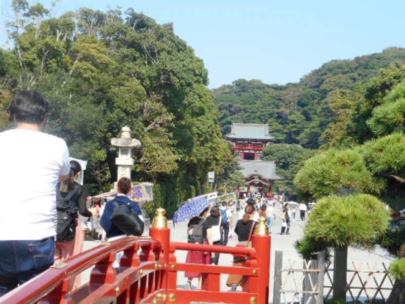 Kamakura Private Tour - Tsurugaoka Hachimangu Shrine