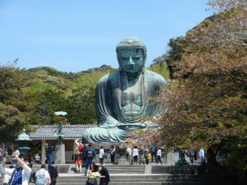 Kamakura Private Tour - The Great Buddha of Koutokuin