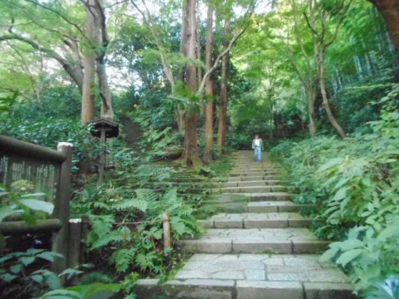 Kamakura Private Tour - Option: Zuisenji, which is a Zen temple where many flowers bloom