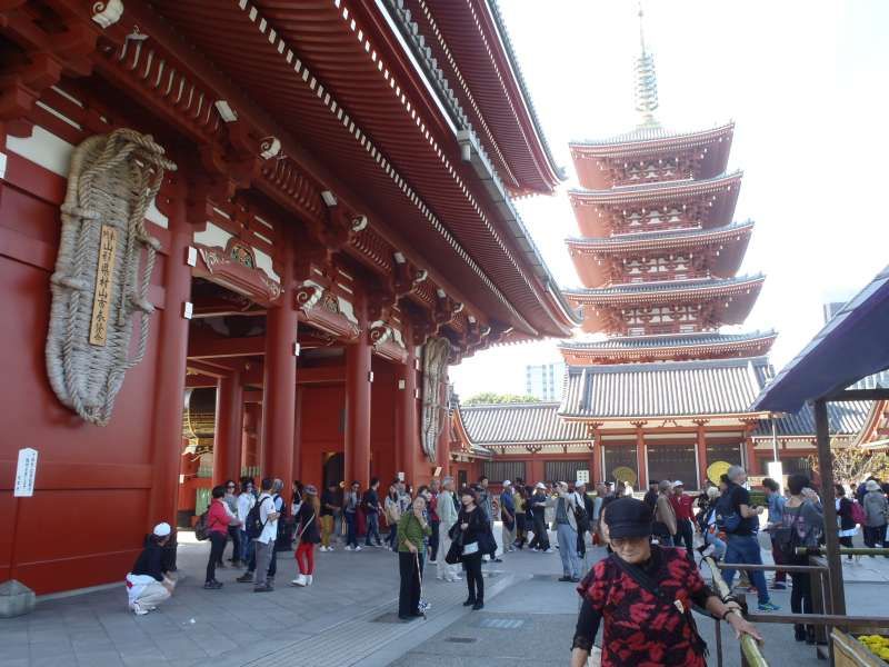 Tokyo Private Tour - Hozomon Gate( Gate of Treasure) and Five-storied Pagoda in Asakusa