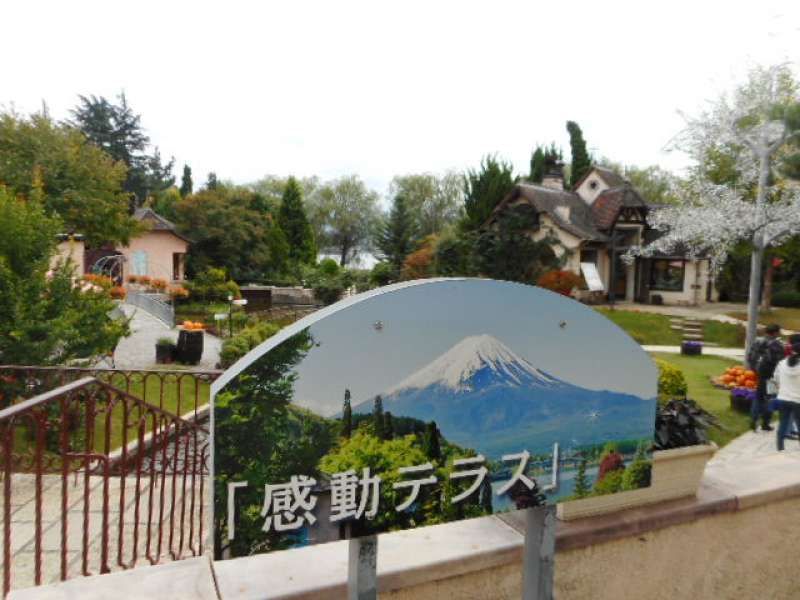 Mount Fuji Private Tour - Option: 5) Kawaguchiko Music Forest Museum  On a clear day, you can see Mt. Fuji there