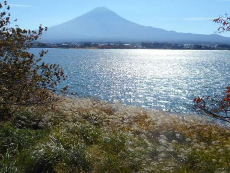 Mount Fuji Private Tour - Mt. Fuji from Lake Kawaguchiko (2017.11.1)