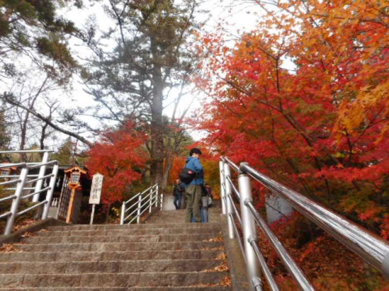 Mount Fuji Private Tour - Option 1) Arakurayama Sengen Park: 398 Stairs to climb