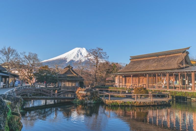 Mount Fuji Private Tour - null