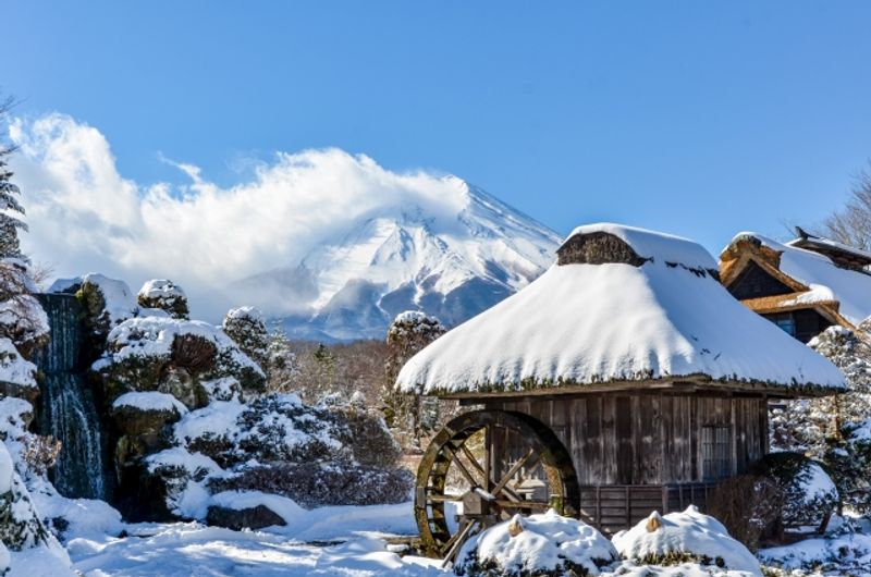 Mount Fuji Private Tour - null