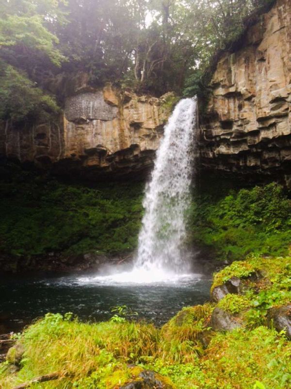 Other Shizuoka Locations Private Tour - Banjo fall in Izu Geo Park