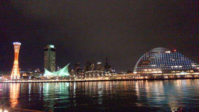 Hyogo Private Tour - Kobe harbor night view