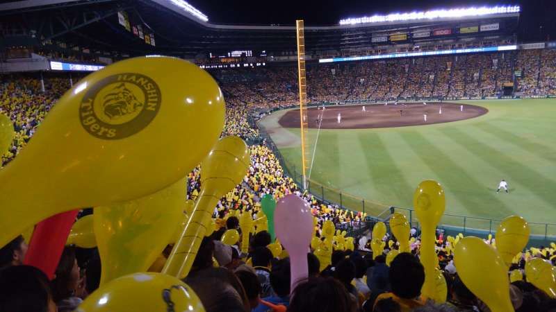 Hyogo Private Tour - Hanshin Tigers baseball game is fun! 