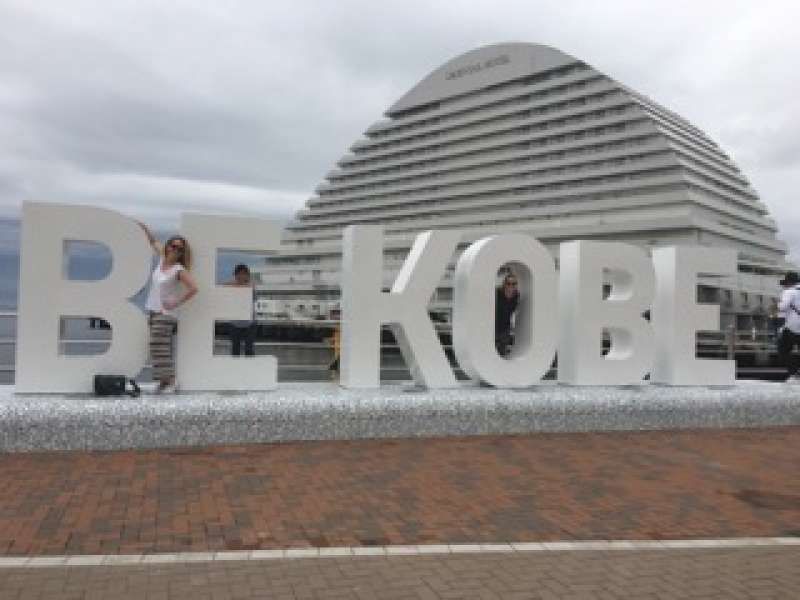 Hyogo Private Tour - Be Kobe!