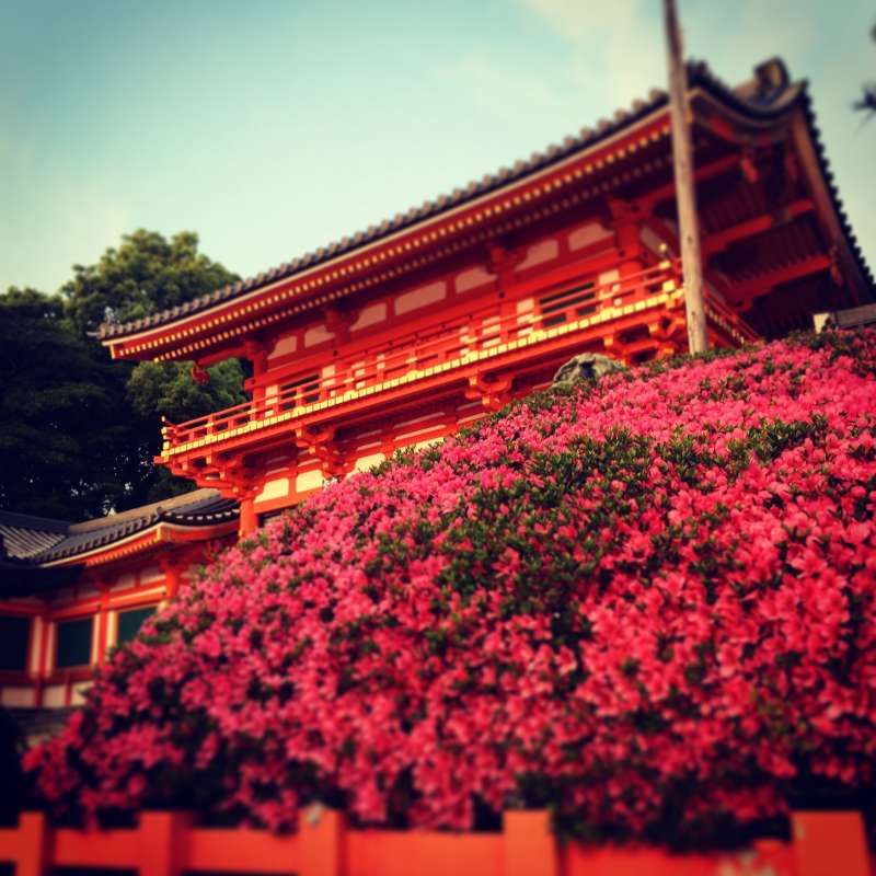 Kyoto Private Tour - The gate of Yasaka shrine.