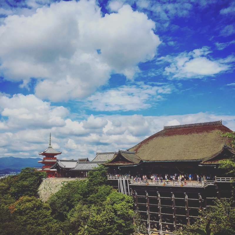 Kyoto Private Tour - The view from Kiyomizu temple is so spectacular.